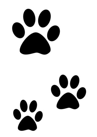 Кошачьи следы