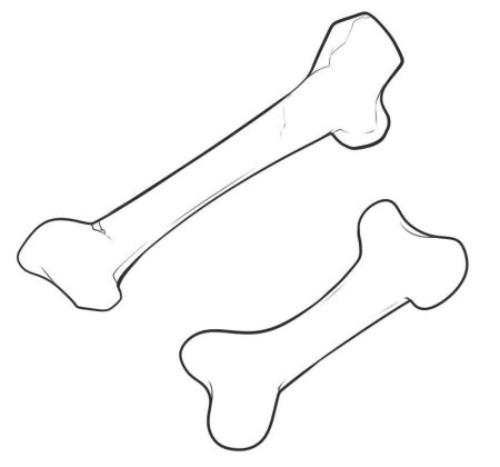 Кости Кощея