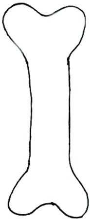 Кости Кощея
