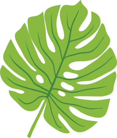 Monstera Leaf svg