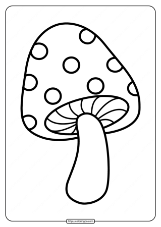 «Грибы для белки» (Комарова, с.36)