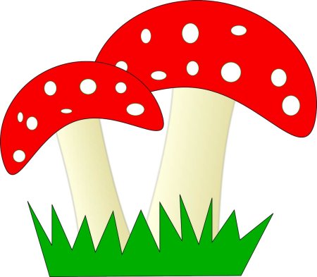 Мухомор раскраска