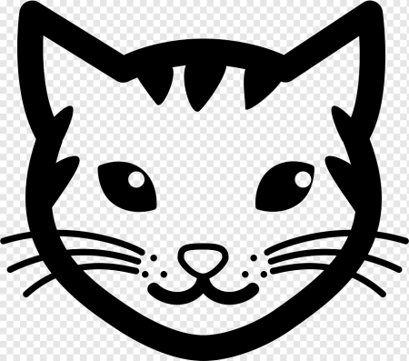 Морда кота