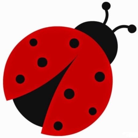 Трафарет Божьей коровки для стен