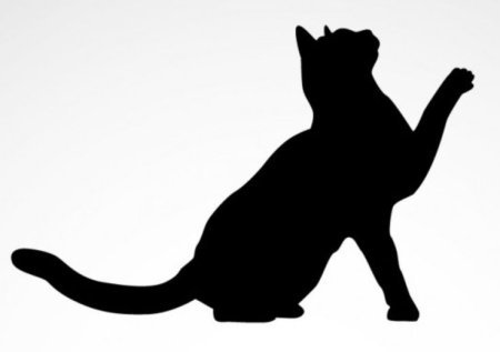 Силуэт кошки