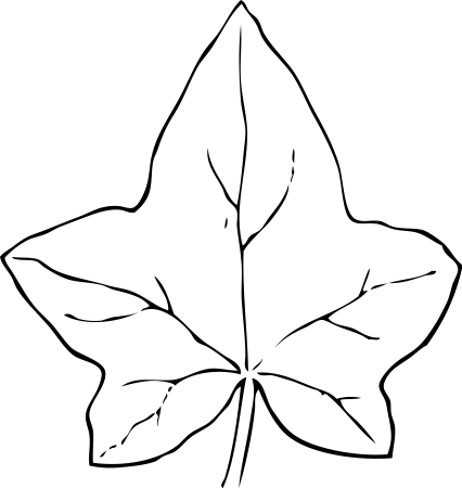 Лист тыквы раскраска