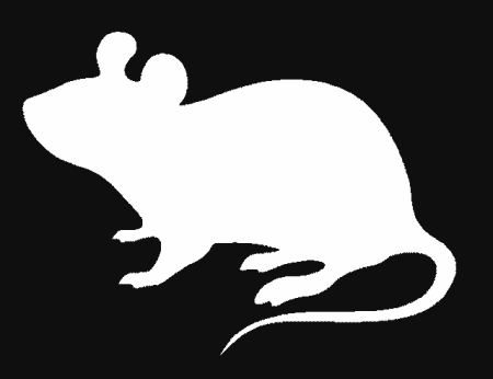 Вытынанки крыса