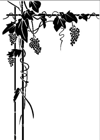 Трафарет виноградной лозы (46 фото)