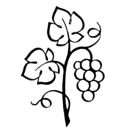 Трафарет Виноградная лоза