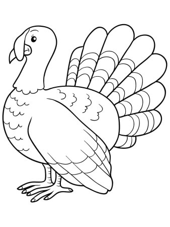 Turkey индюк for Kids