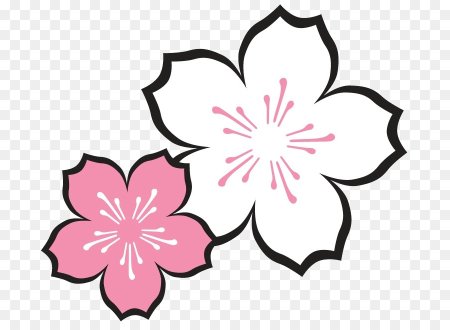 Цветы трафарет для вырезания