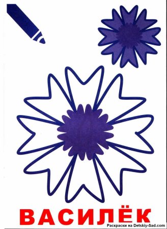 Васильки раскраска для детей