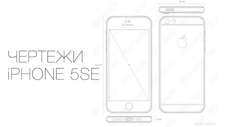 Чертеж айфона 5s