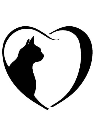 Очертание кота