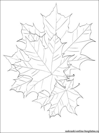Раскраска осенний букет из листьев
