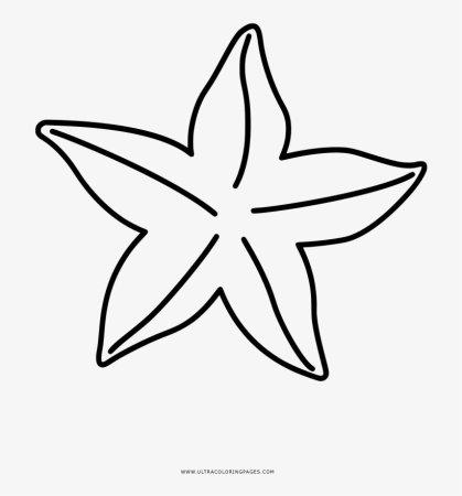 Трафарет морской звезды (48 фото)
