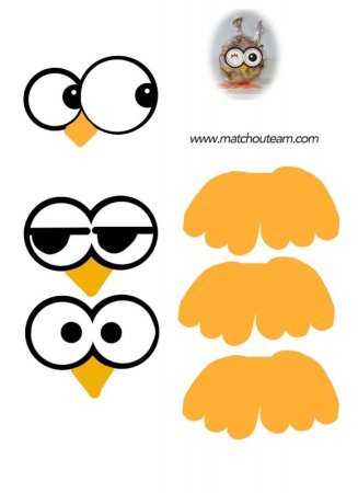 Глазки для Совы