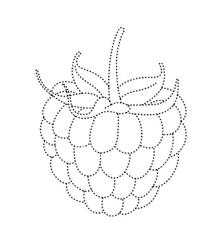 Raspberry Coloring Page