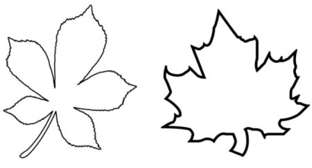 Лист каштана контур