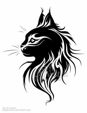 Кот Мейн кун