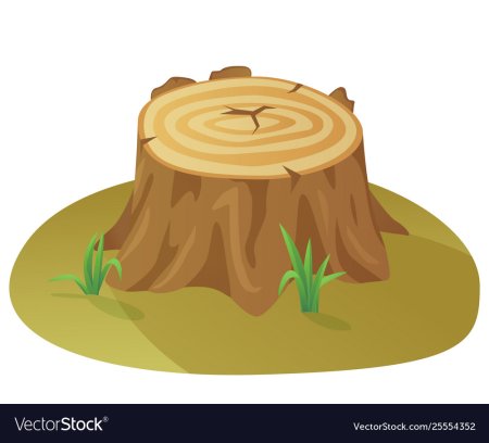 Пеньки для рисования