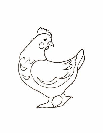 Курица раскраска