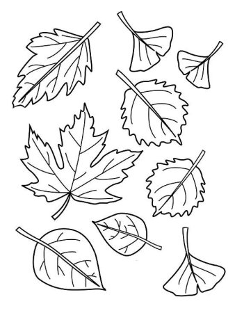 Трафарет разных листьев (50 фото)