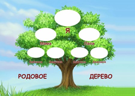 Генеологичне дерево