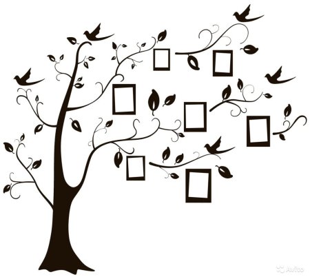 Генеалогическое Древо Family Tree