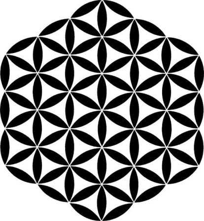 Цветок жизни Сакральная геометрия вектор