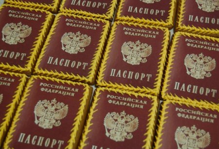 Пряник паспорт на 14 лет