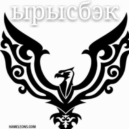 Беркут с кыргызским орнаментом
