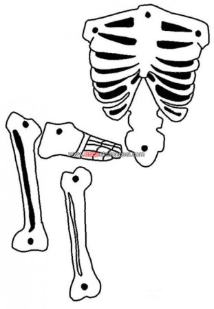 Кости Кощея