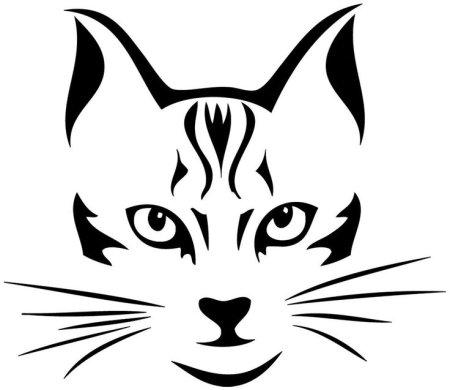 Очертание морды кота