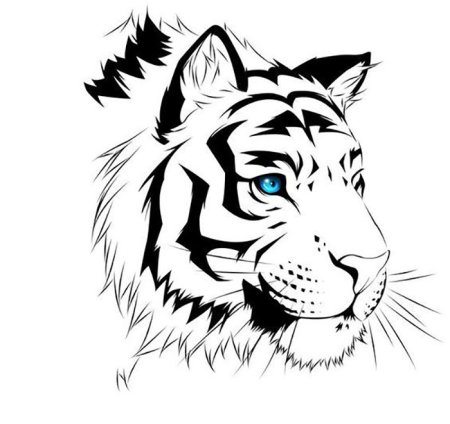 Рисунки тигров для срисовки