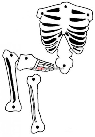 Трафарет костей скелета для костюма (43 фото)