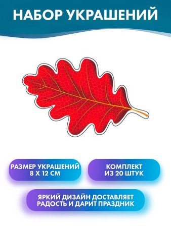Форма листьев дуба