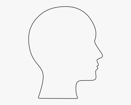 Очертания головы