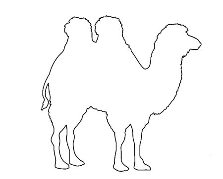 Верблюд трафарет