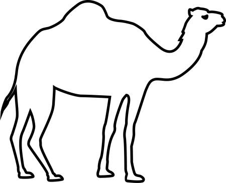 Верблюд контур