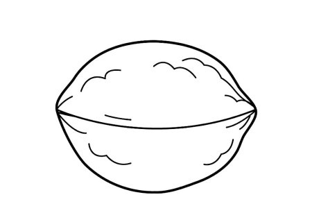 Орех раскраска