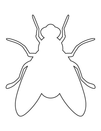 Пчела Графика