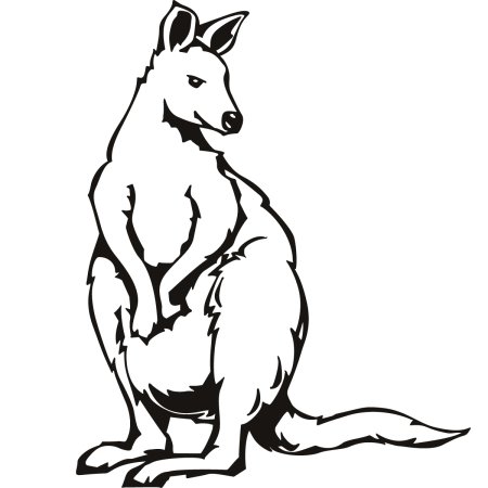 Kangaroo трафарет для детей