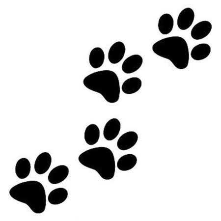 Отпечаток лапки кота
