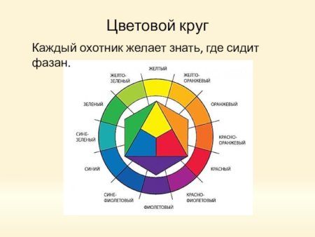Цветовой круг каждый охотник желает знать