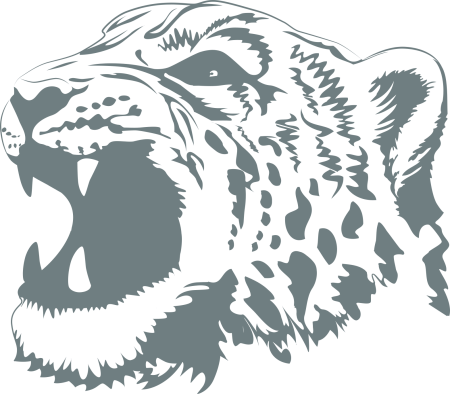 Bar vector