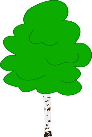 Береза раскраска