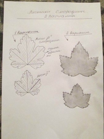 Лист смородины выкройка