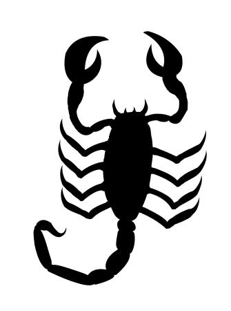 Скорпион рисунок