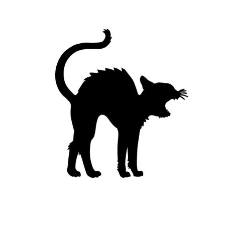 Черный кот Хэллоуин